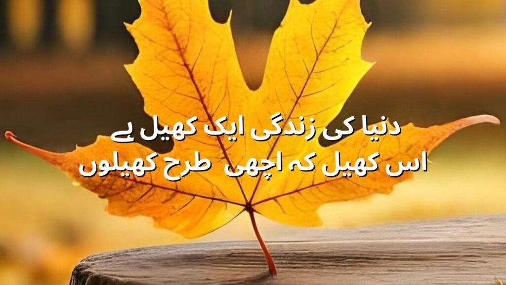 islamic quotes in urdu