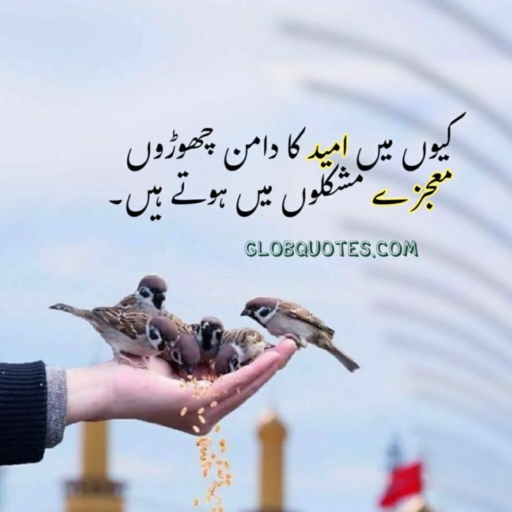 islamic poetry in urdu dp