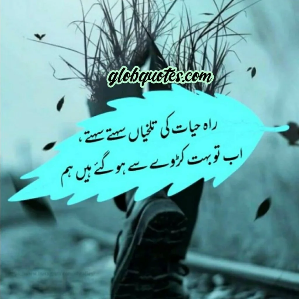 Poetry in urdu dp