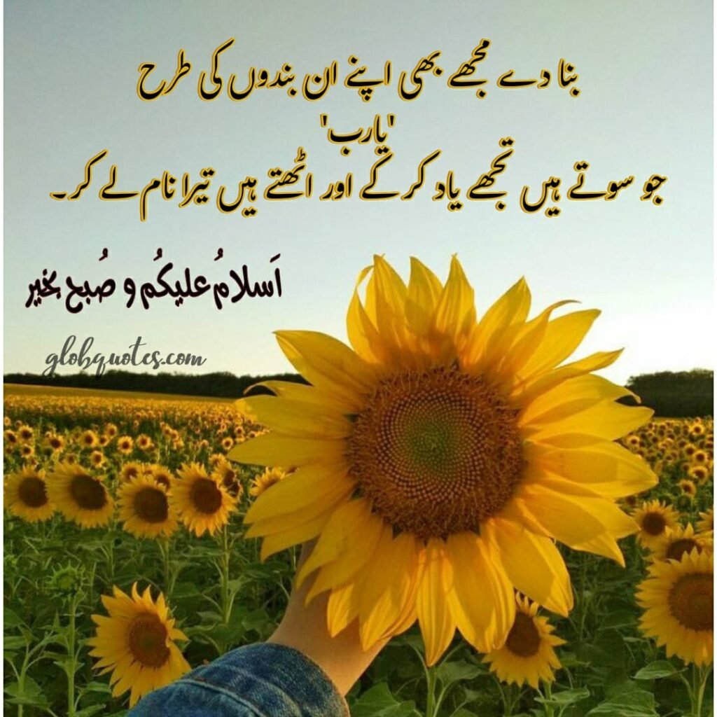 morning greetings in urdu