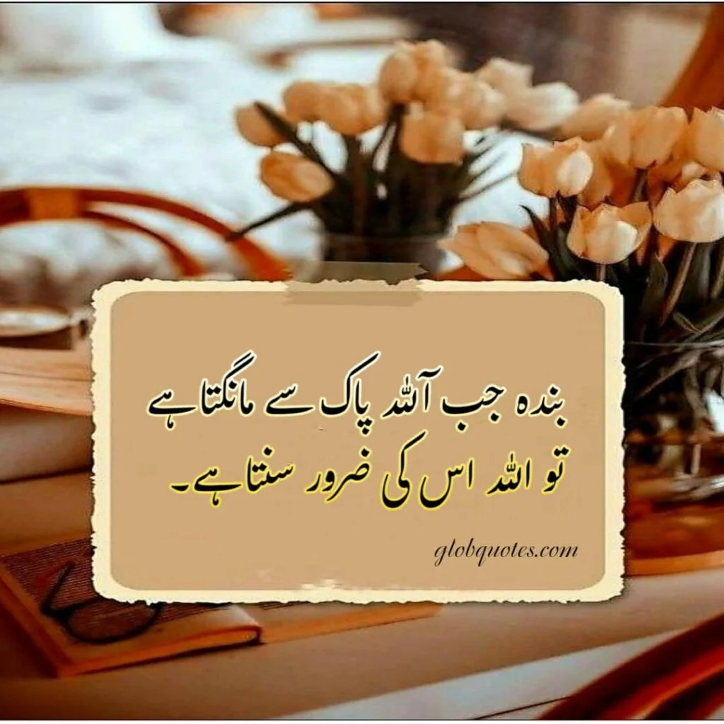 quotes in urdu