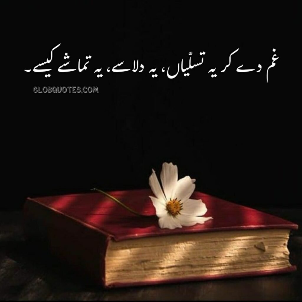 Captions in Urdu One line